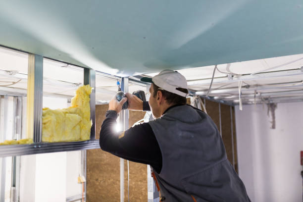 Best Insulation for Specific Applications in Redwood Falls, MN