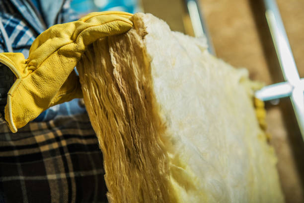 Best Types of Insulation in Redwood Falls, MN